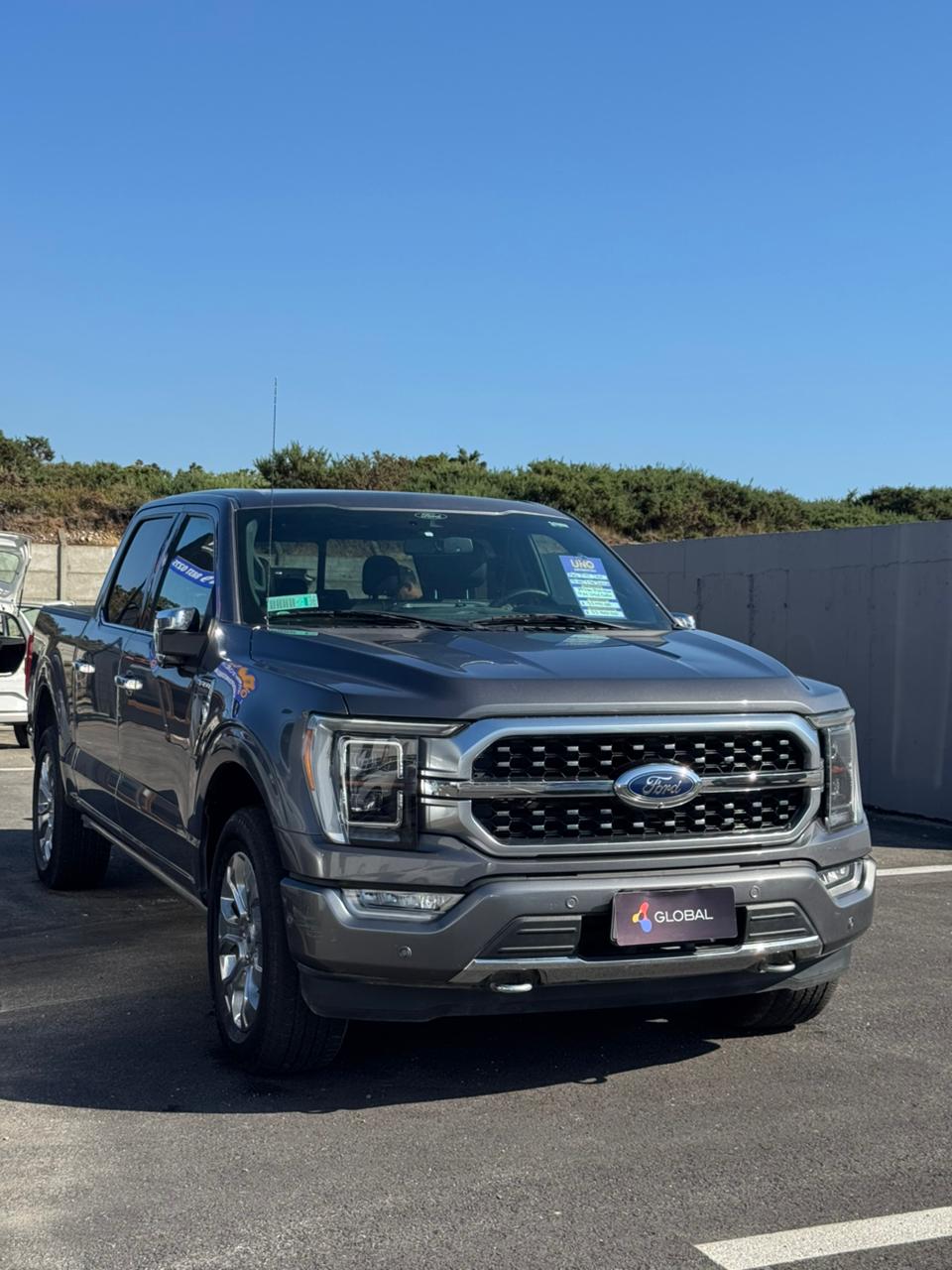 Ford F150 Platinium 2021 v6 Ecoboost
