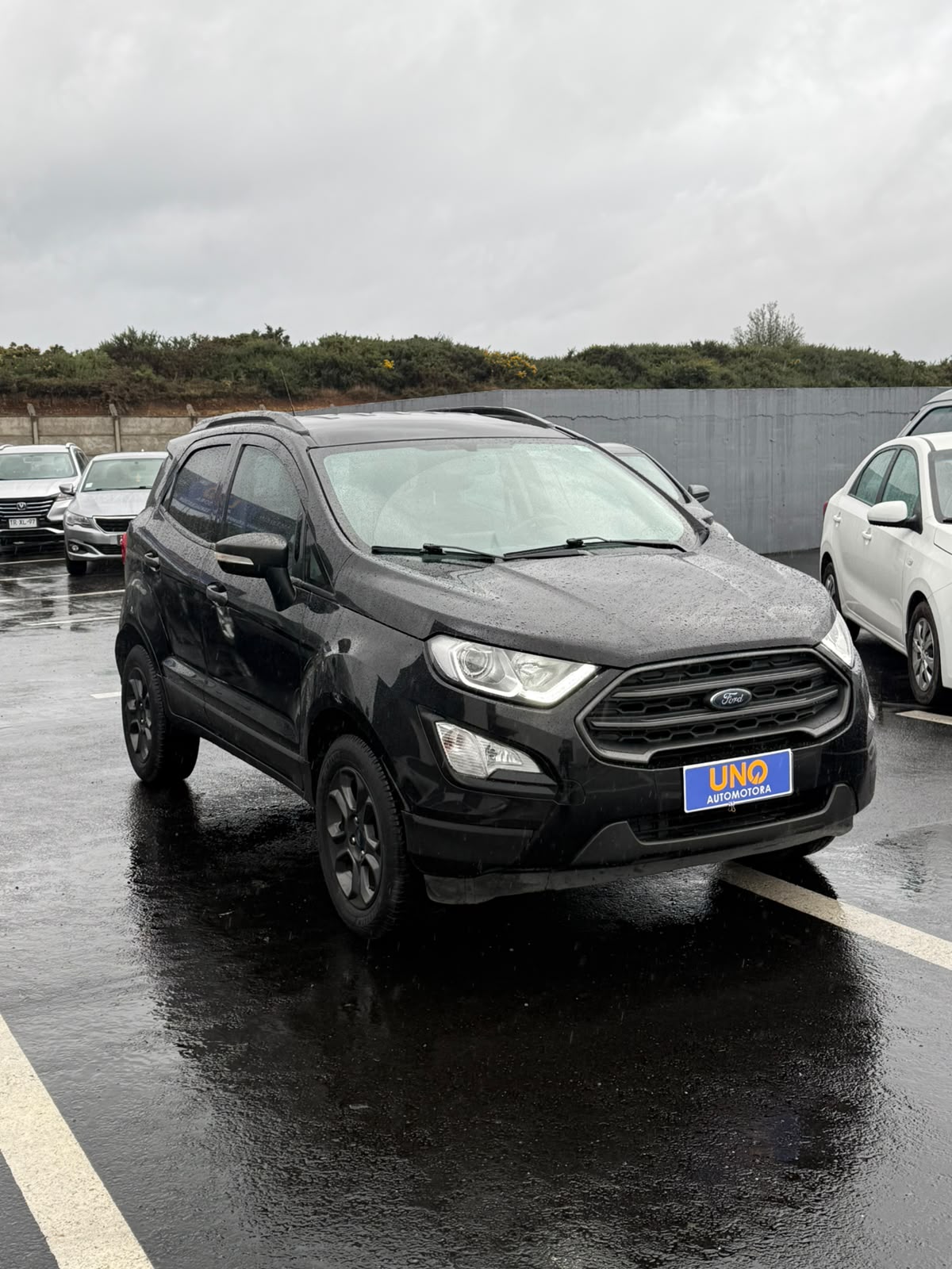 Ford Ecosport 2019