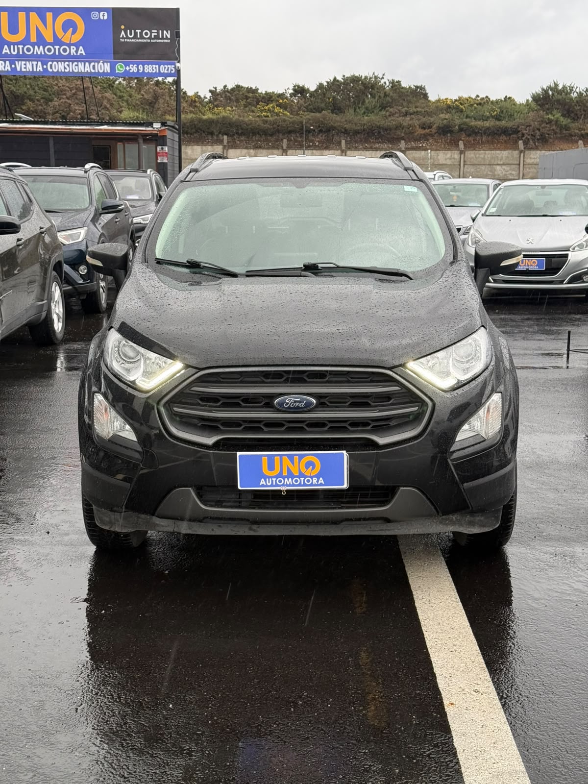 Ford Ecosport 2019