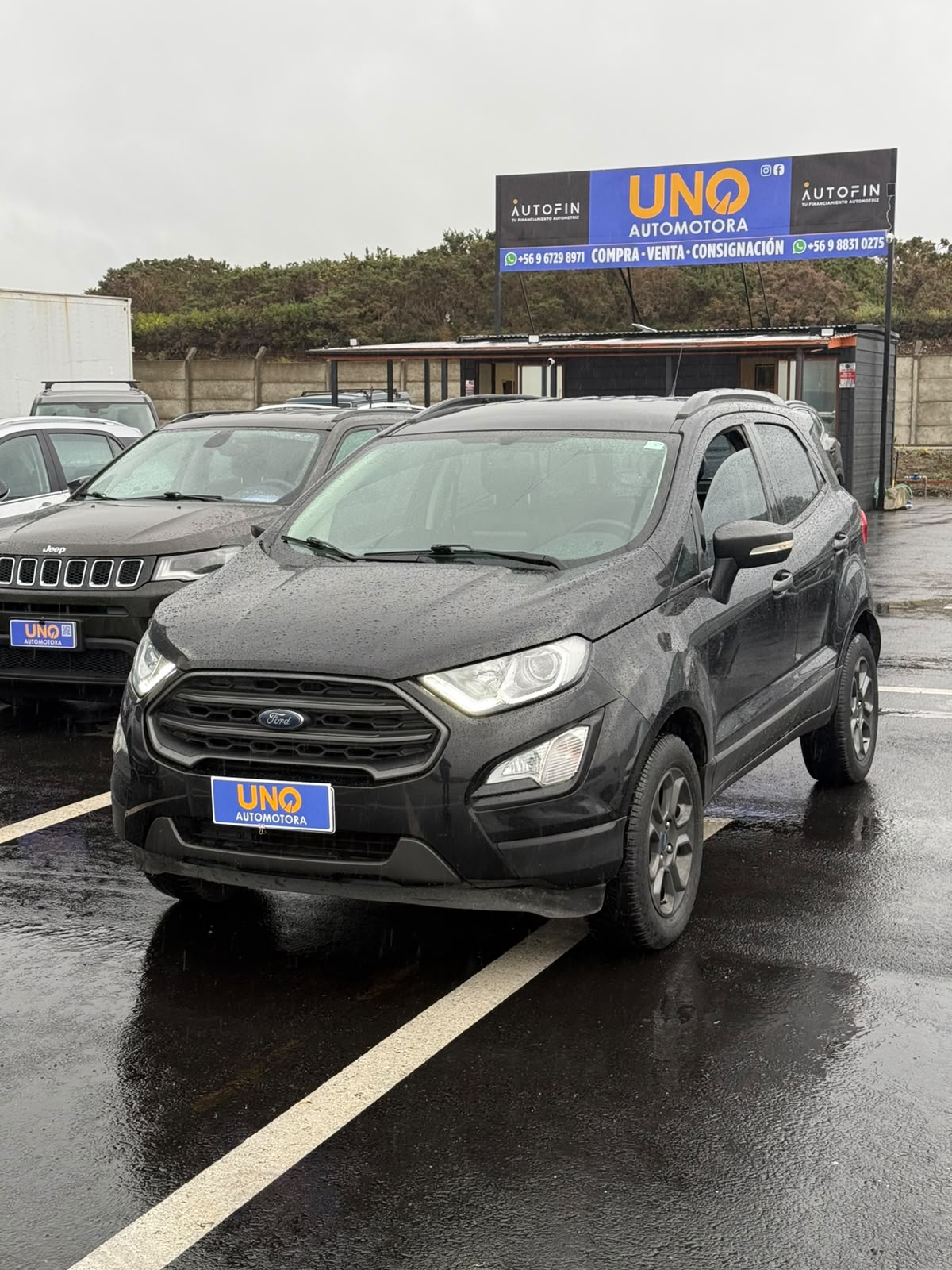 Ford Ecosport 2019