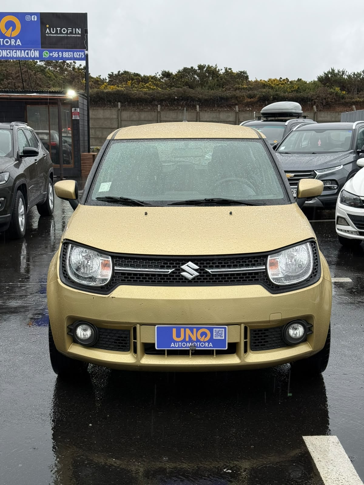 Suzuki Ignis 2019