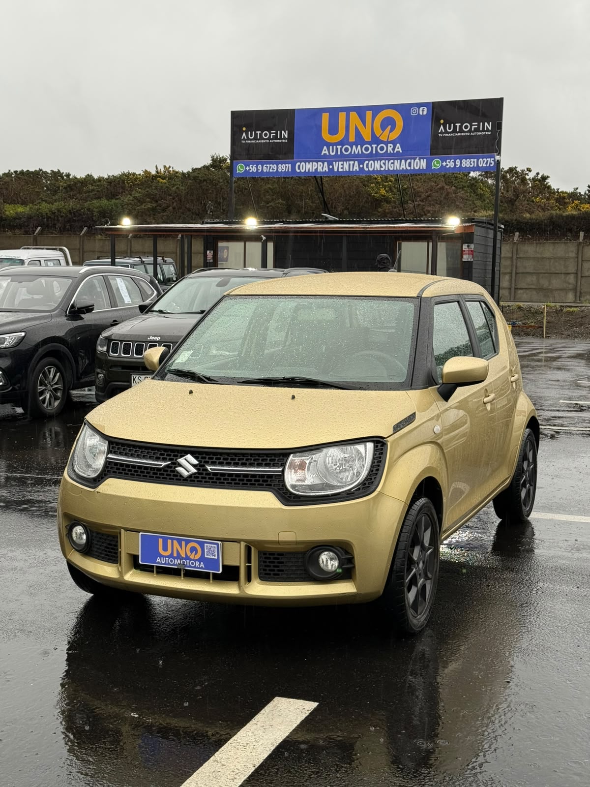 Suzuki Ignis 2019